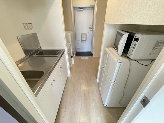 レオネクストファンシー