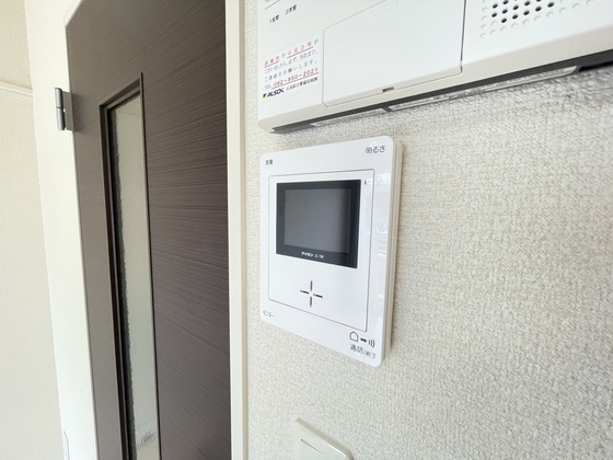 レオネクストファンシー