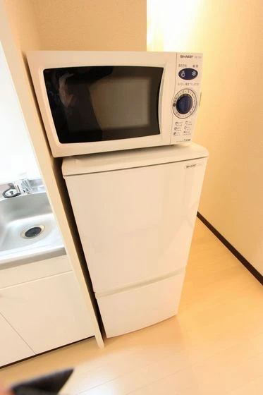 レオネクストプロシードⅡ