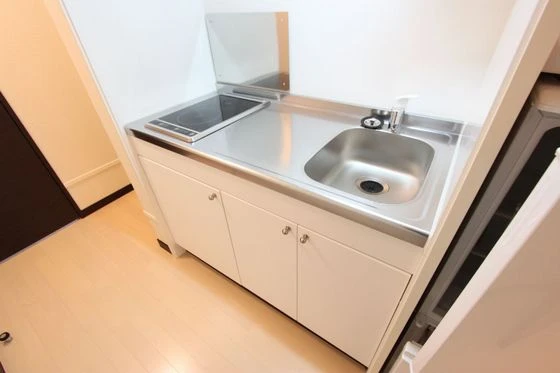 レオネクストプロシードⅡ