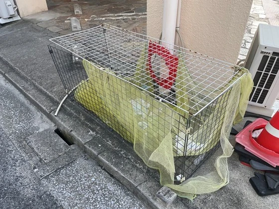 皆実町高橋ビル