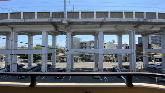 ジェムハナクマ