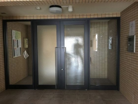 ジェムハナクマ