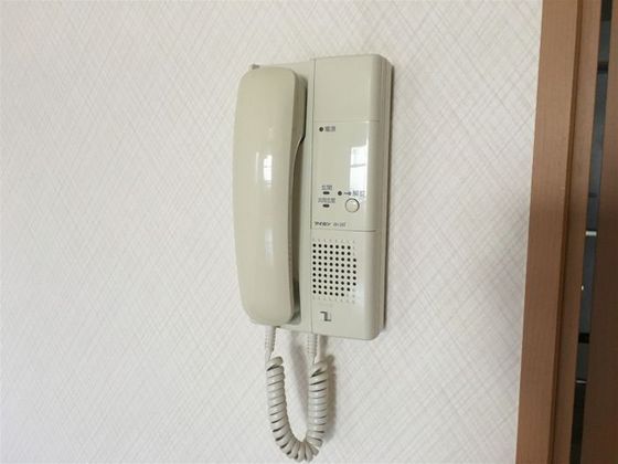 ジェムハナクマ