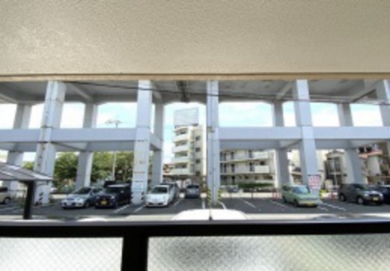 ジェムハナクマ