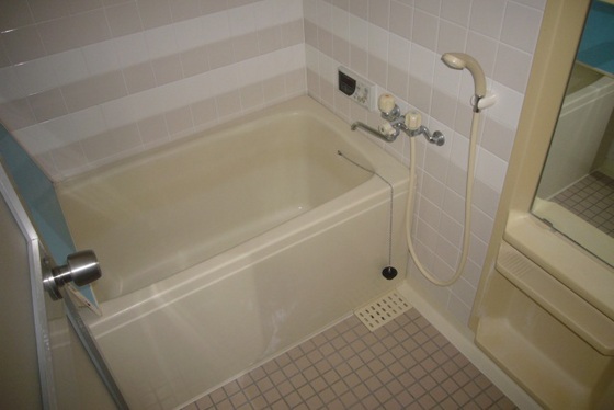 ラフィーネ住吉