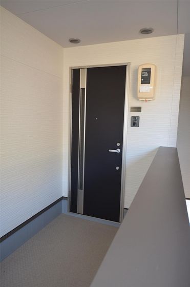 レイールプラス