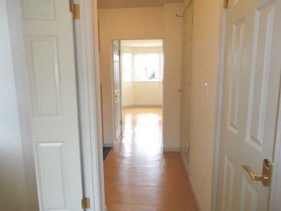 ピュア ルピナス