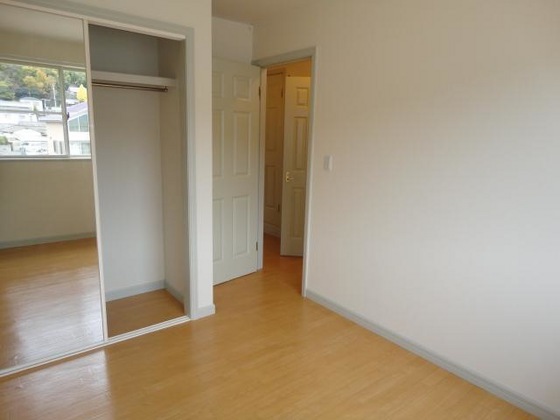 ピュア ルピナス