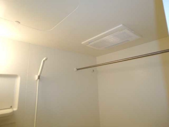 ピュア ルピナス