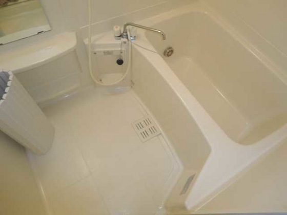 ピュア ルピナス