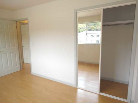 ピュア ルピナス