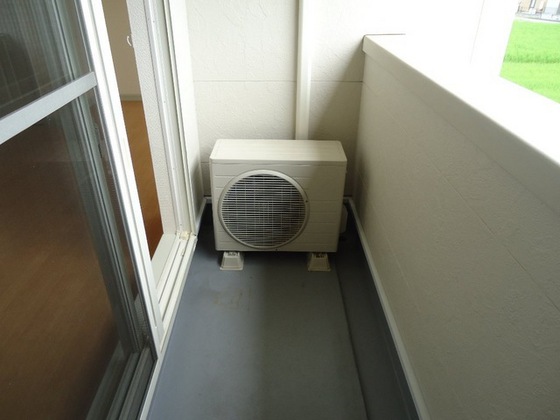 ピュア ルピナス