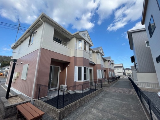 ピュア ルピナス