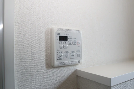 ドゥミュミュール