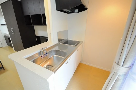 レオネクスト大田西館