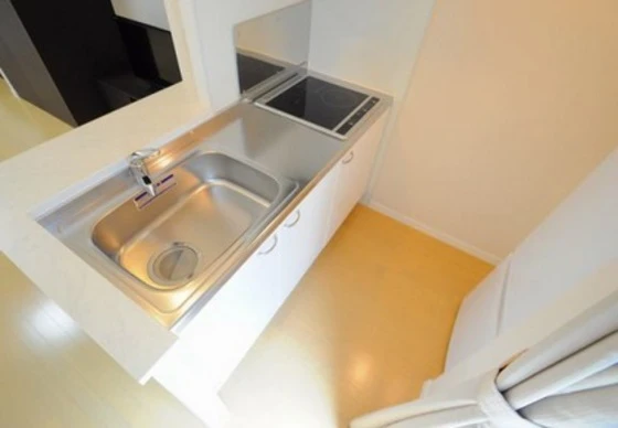 レオネクスト大田西館