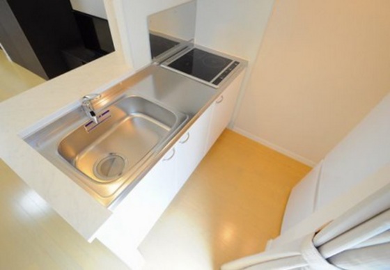 レオネクスト大田西館