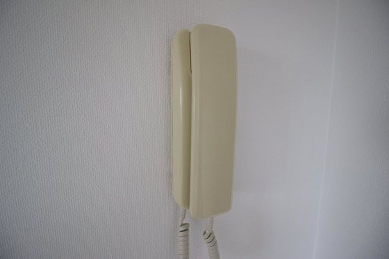 グレースコート