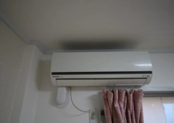 ライブコープ津島