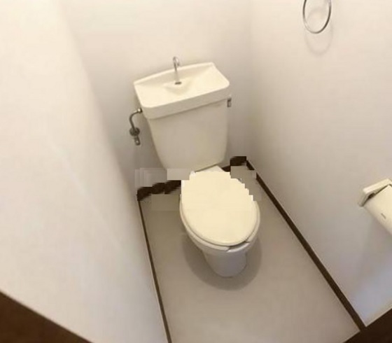 ラッキーハウス 南棟