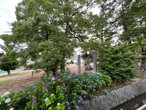 シャーメゾン カルパ