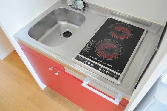 レオパレスパラリア