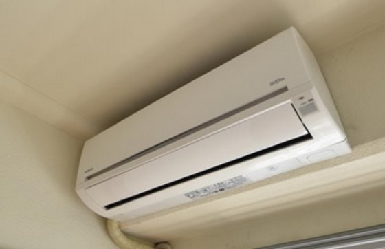 ロイヤルアクラート