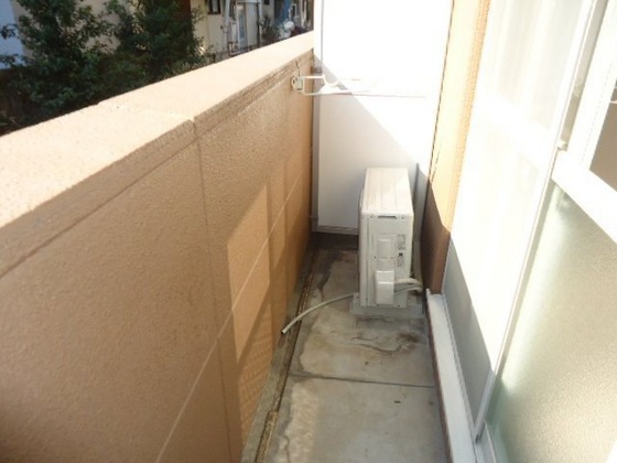 シャインキャッスルⅡ