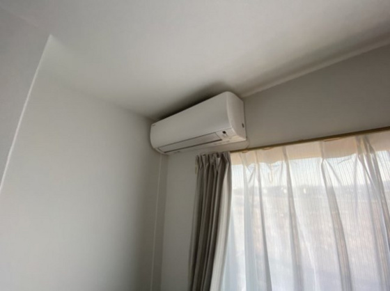 サンシャインリブ