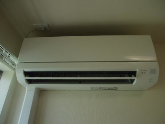 ウィステリアⅡ