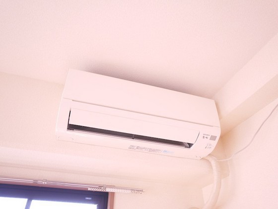 アルフィーネシマムラ