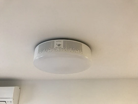 Regalest Falcon Okuda