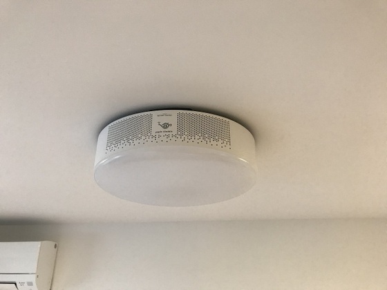 Regalest Falcon Okuda