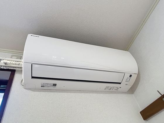 ニューフロント