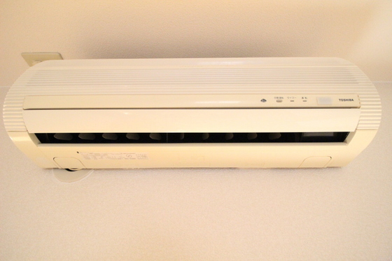 プランドールキノミ