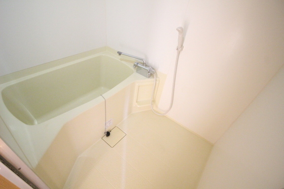 プランドールキノミ