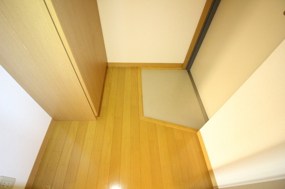 プランドールキノミ