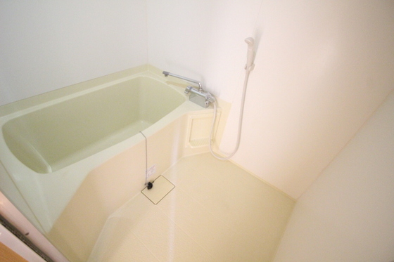 プランドールキノミ