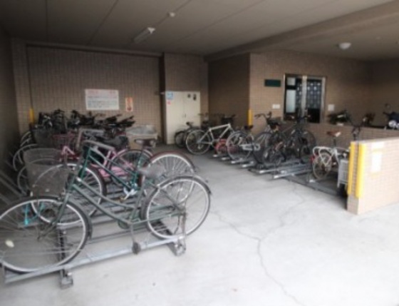 プランドールキノミ