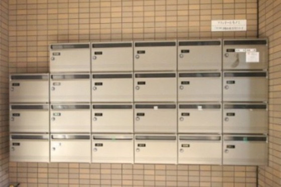 プランドールキノミ