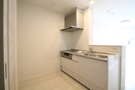 アリスティオ・ガーデンY C