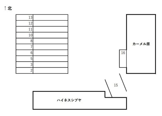 ハイネスシブヤ