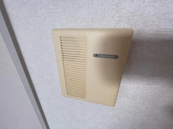 サンフラワーイイダ