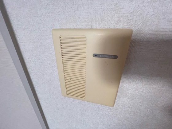 サンフラワーイイダ