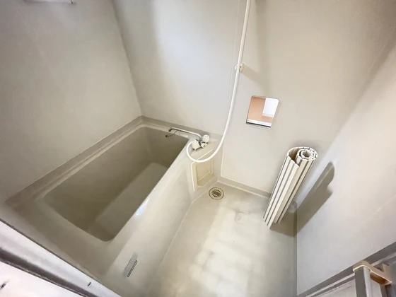 サンフラワーイイダ