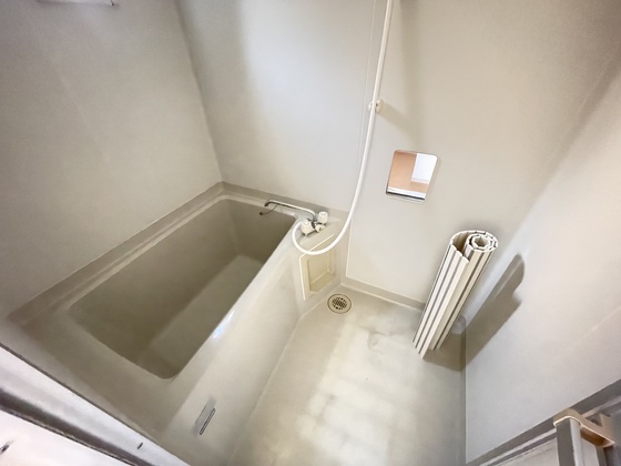 サンフラワーイイダ