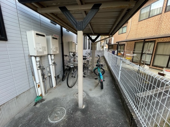 サンフラワーイイダ