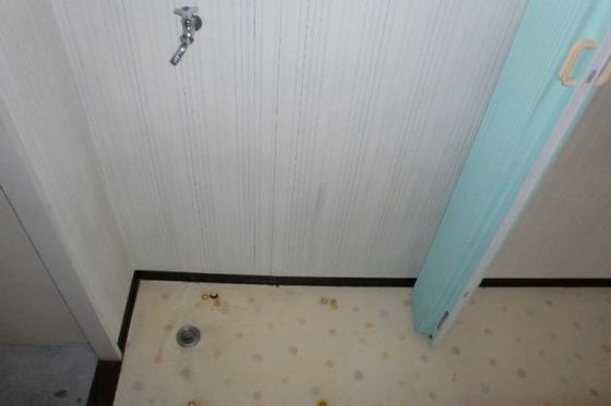 ロイヤルエミー