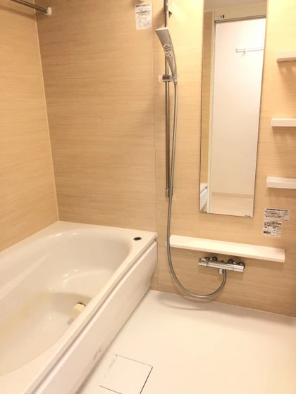 アネシストリア